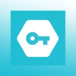 Secure vpn indir