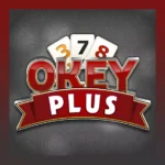 okey plus indir ücretsiz son sürüm