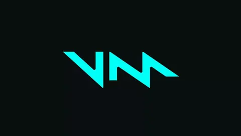 voicemod indir
