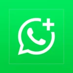 WhatsApp Business indir son sürüm ücretsiz