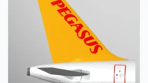 Pegasus indir